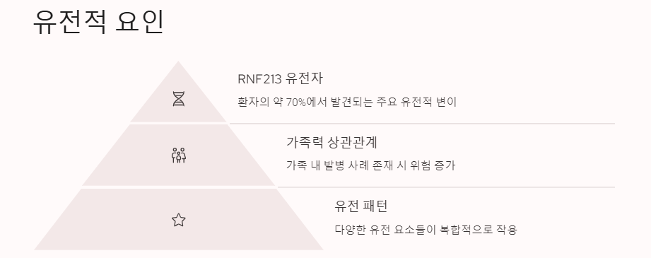 모야모야병이란? 원인, 증상, 치료 및 관리(수술 및 좋은음식)