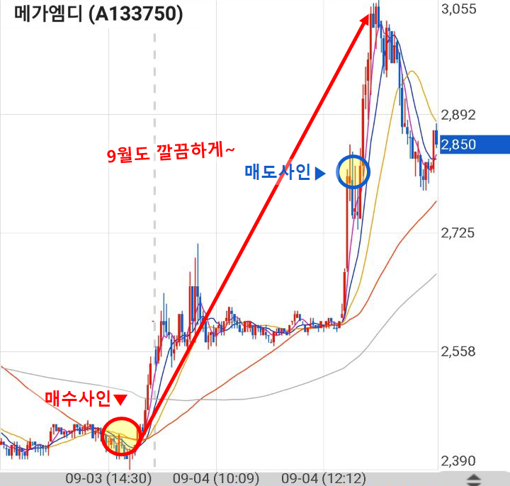  190904 급등황제 메가엠디 수익인증