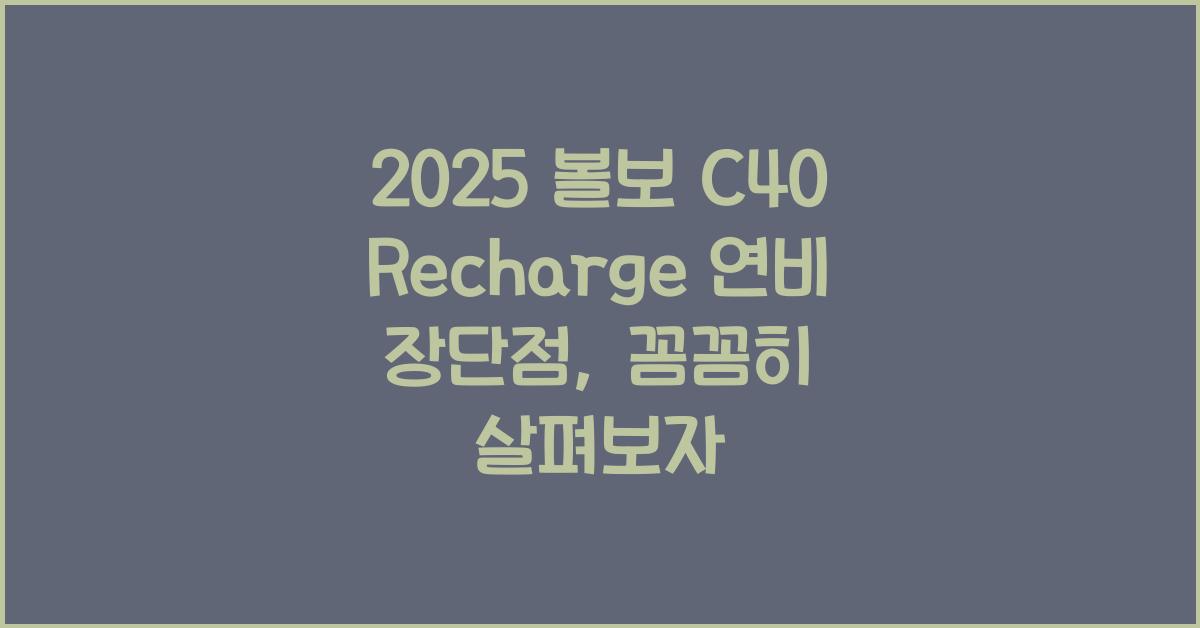 2025 볼보 C40 Recharge 연비 장단점