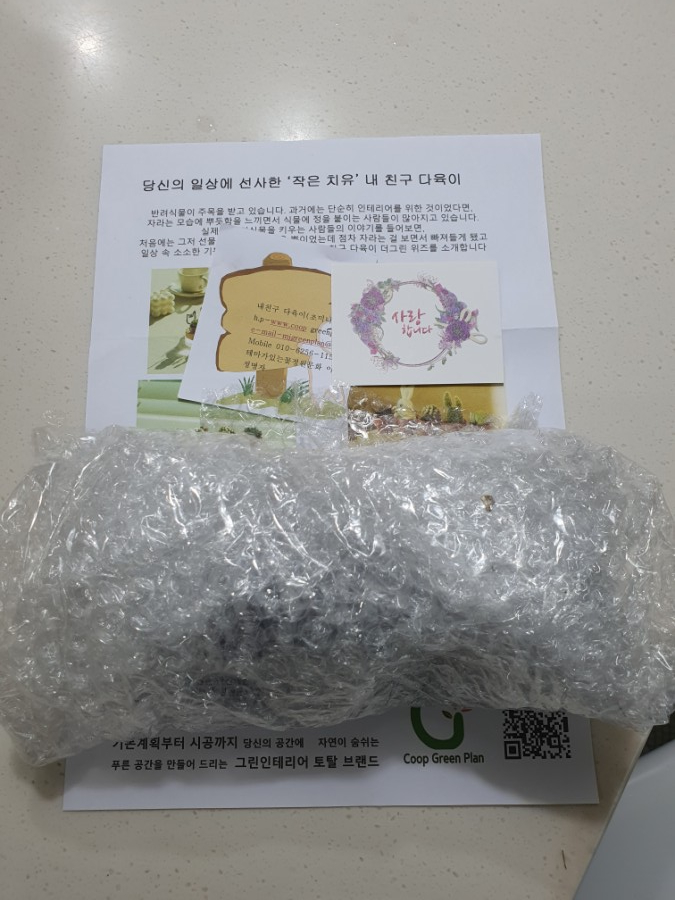 다육이 사이트 반려식물 초미니 10