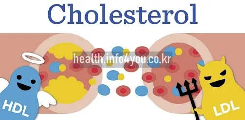 HDL 콜레스테롤이란?