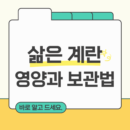 삶은 계란의 영양과 보관법