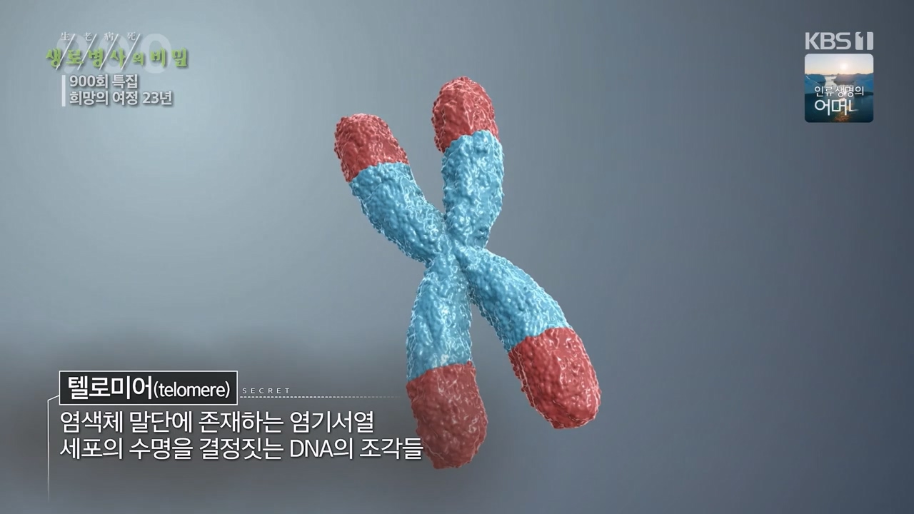 생로병사의 비밀.E903.240307p-NEXT.mp4_20240307_202033.271.jpg