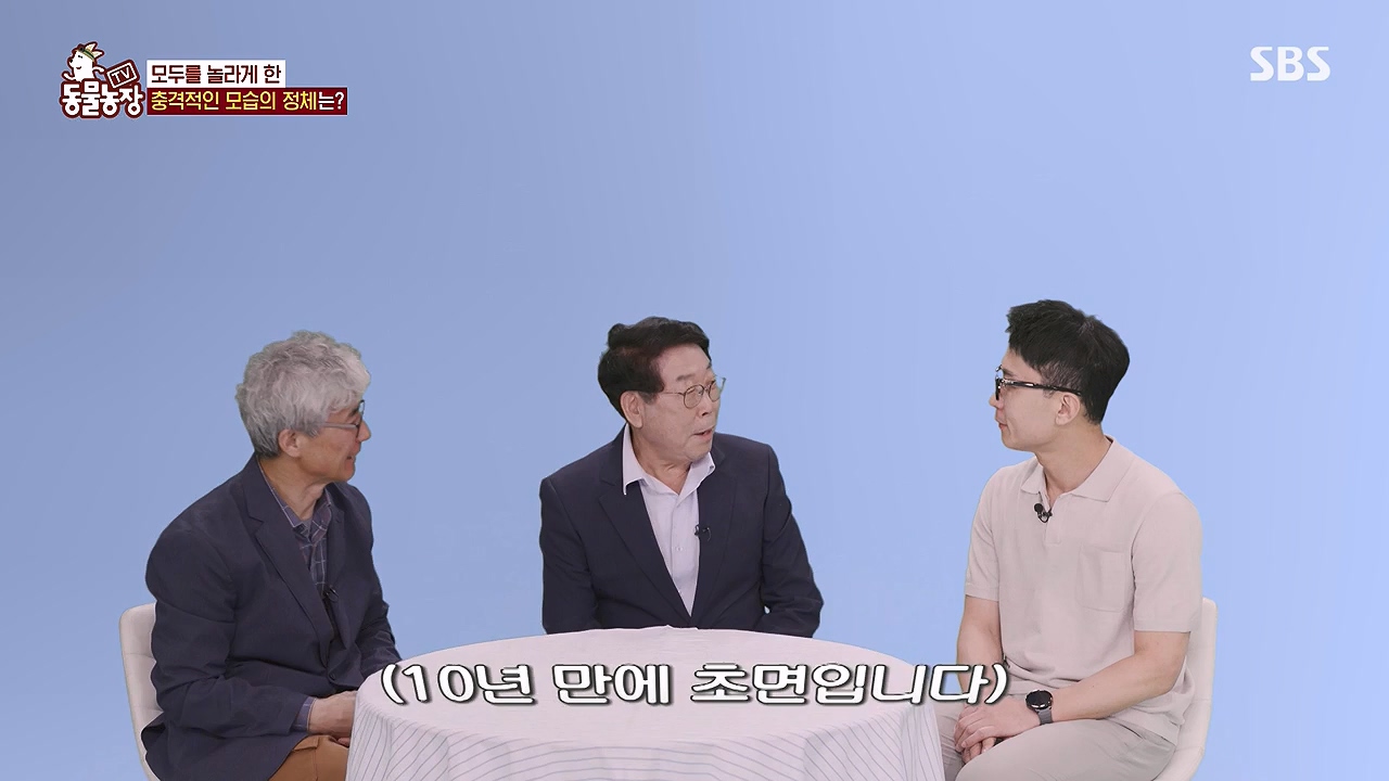 TV 동물농장.E1179.240708p-NEXT.mp4_20240707_160429.174.jpg