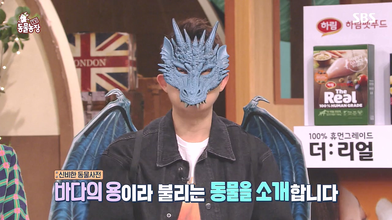 TV 동물농장.E1153.240108p-NEXT.mp4_20240107_170524.236.jpg