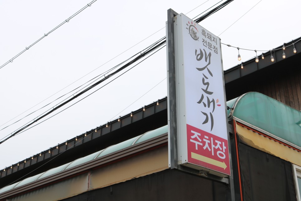 태교여행 놀기좋은 16