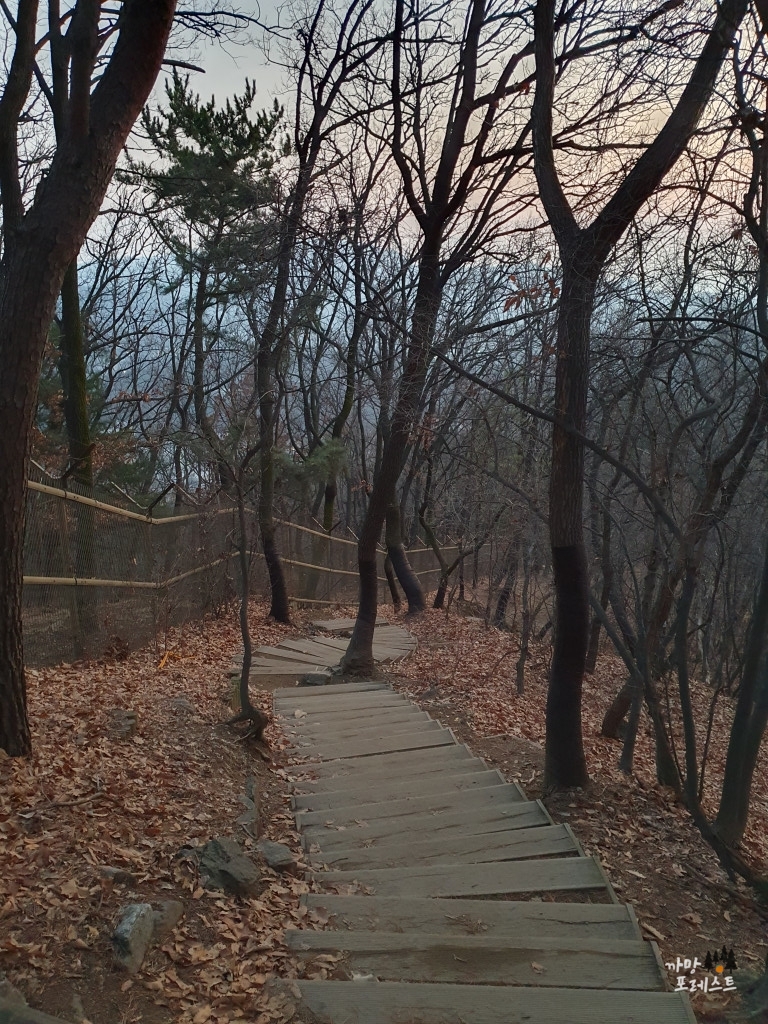 구룡산 대모산 연계