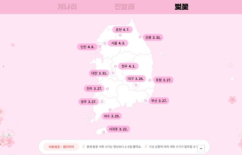 한국관광공사 봄꽃 벚꽃 꽃놀이 개화시기 2023꽃나들이떠날지도 담다 담아보Sam 지식과경험을담다