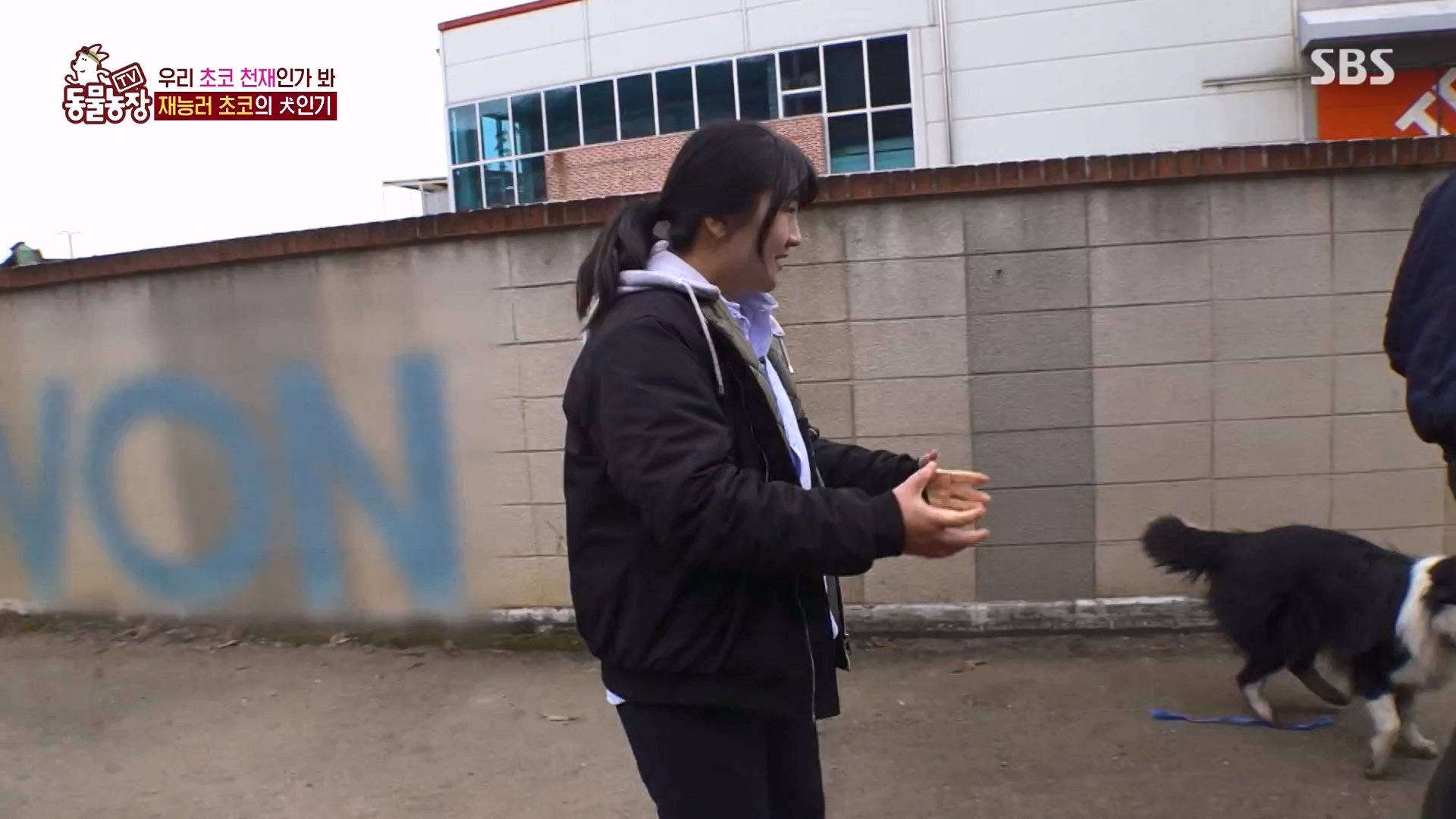 TV 동물농장.E1161.240303p-NEXT.mp4_20240303_172257.548.jpg
