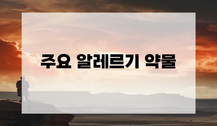 주요 알레르기 약물
