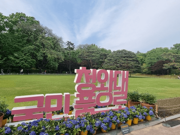 청와대 근처 맛집 카페 : 추천 10곳 (2025년 최신)