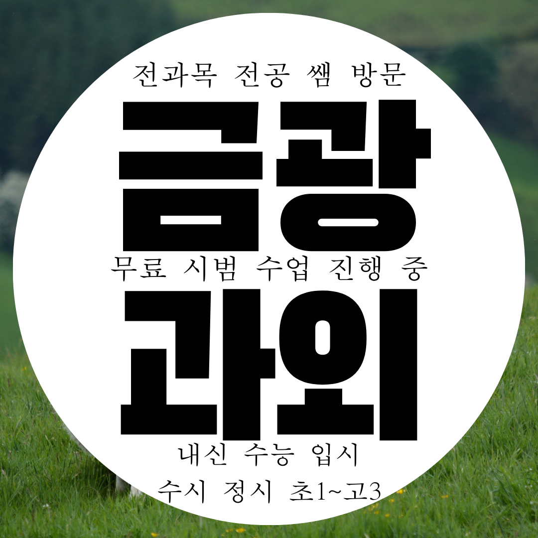  성남 금광동 방문 영수 국어 과외 과학 물리 화학 과외 내신 전문 구하기