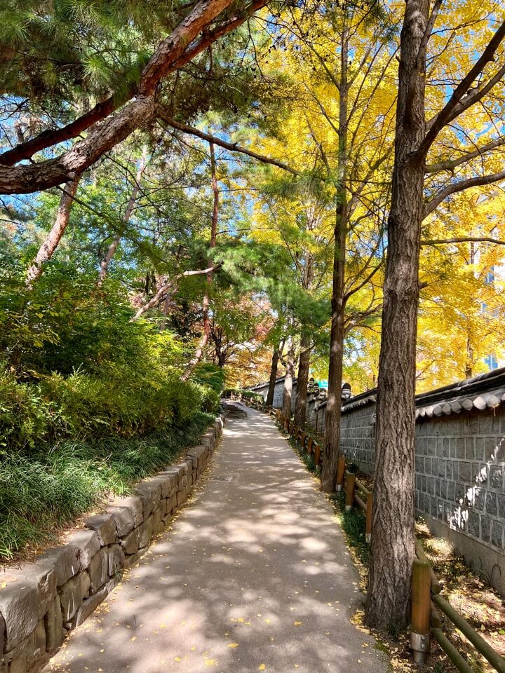 효창공원-내부-산책로