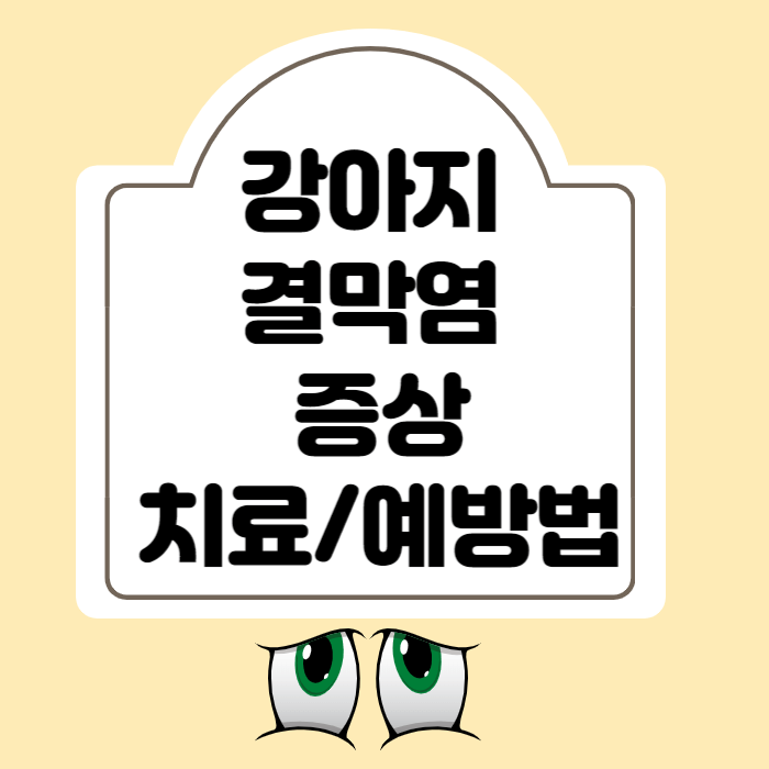 강아지 눈병 결막염 증상과 치료비용