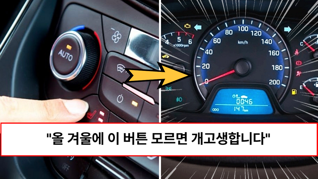 “겨울 자동차는 이걸 써야 합니다” 공짜 옵션인데 몰라서 못 쓰고 있는 자동차 유용한 기능들