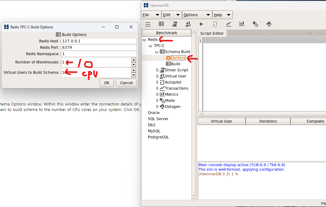 Building the Schema 화면