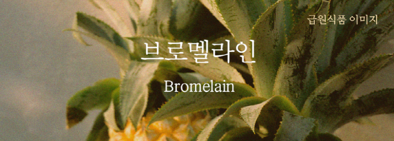 성분분석