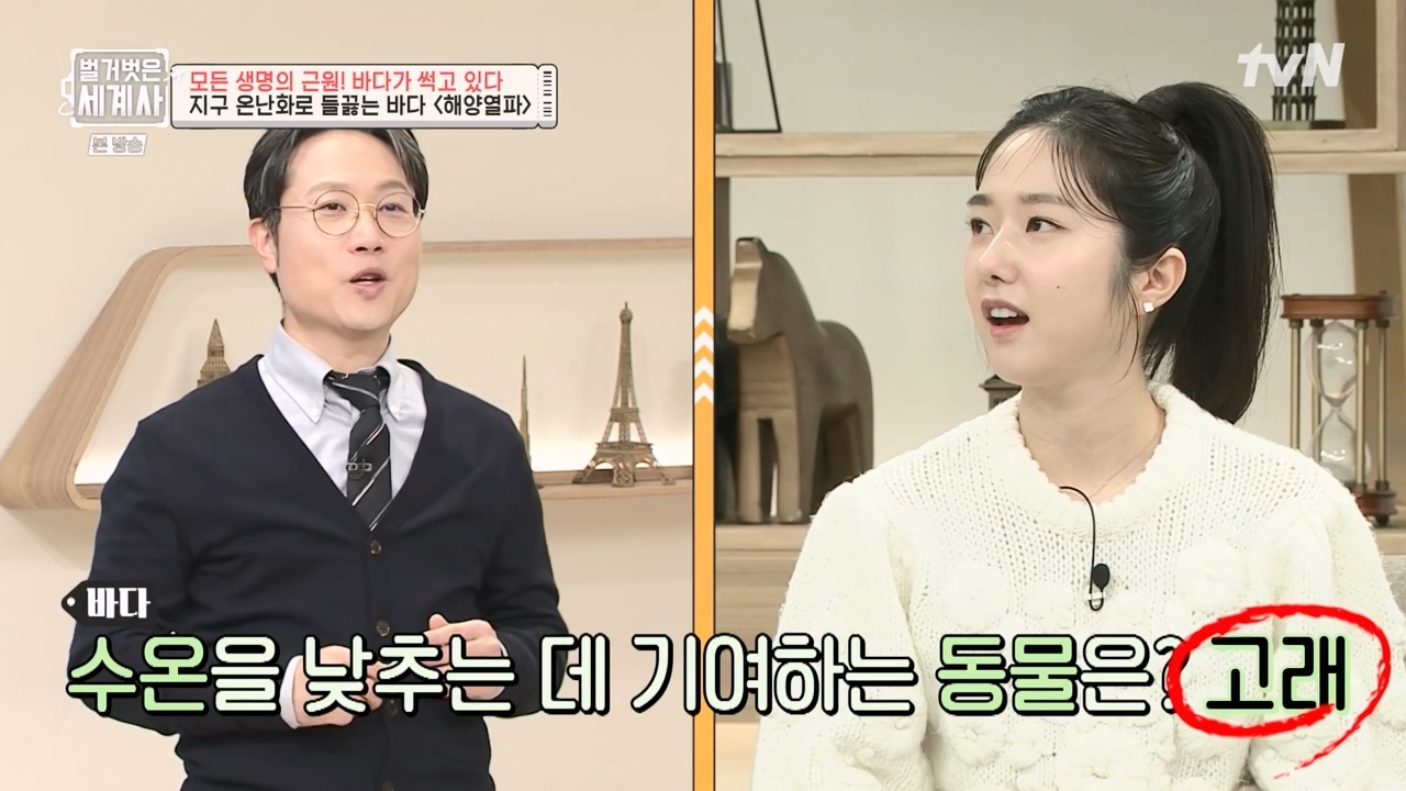 벌거벗은 세계사.E90.230315p-NEXT.mp4_20230419_212556.439.jpg