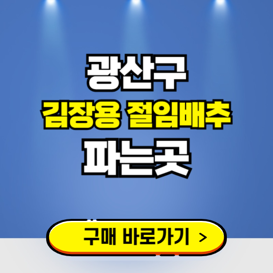 광산구 절임배추 사전예약 구입하는곳 ❘ 김장배추 파는곳 가격보기