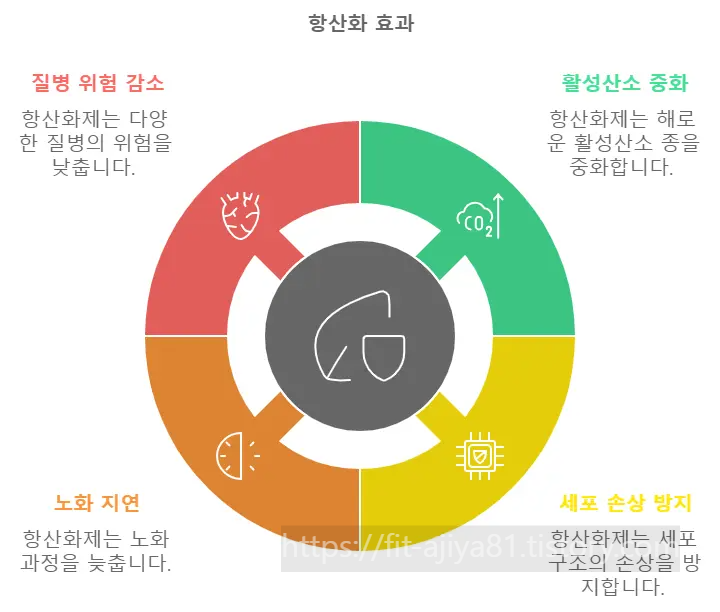 항산화 효과