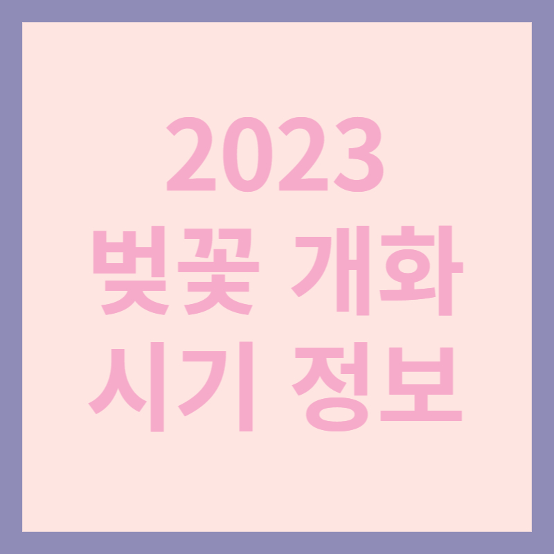 2023년 벚꽃 개화 시기