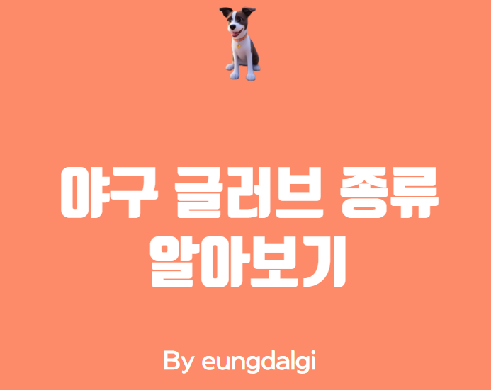  야구 글러브 종류는 어떤 것들이 있을까?