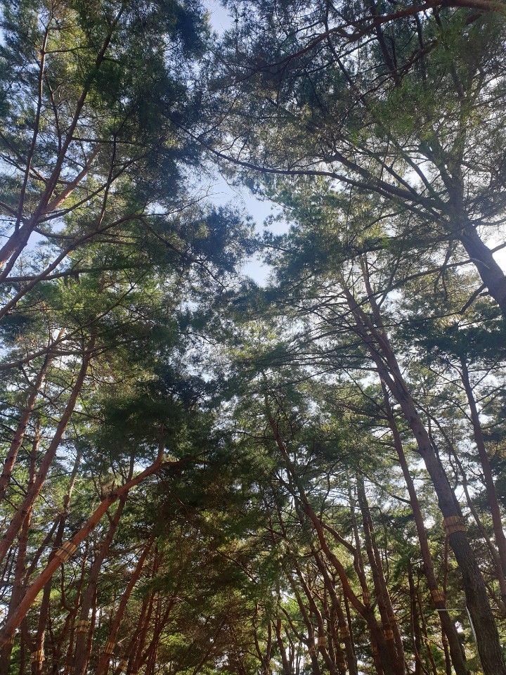  다가구와 다세대의 차이