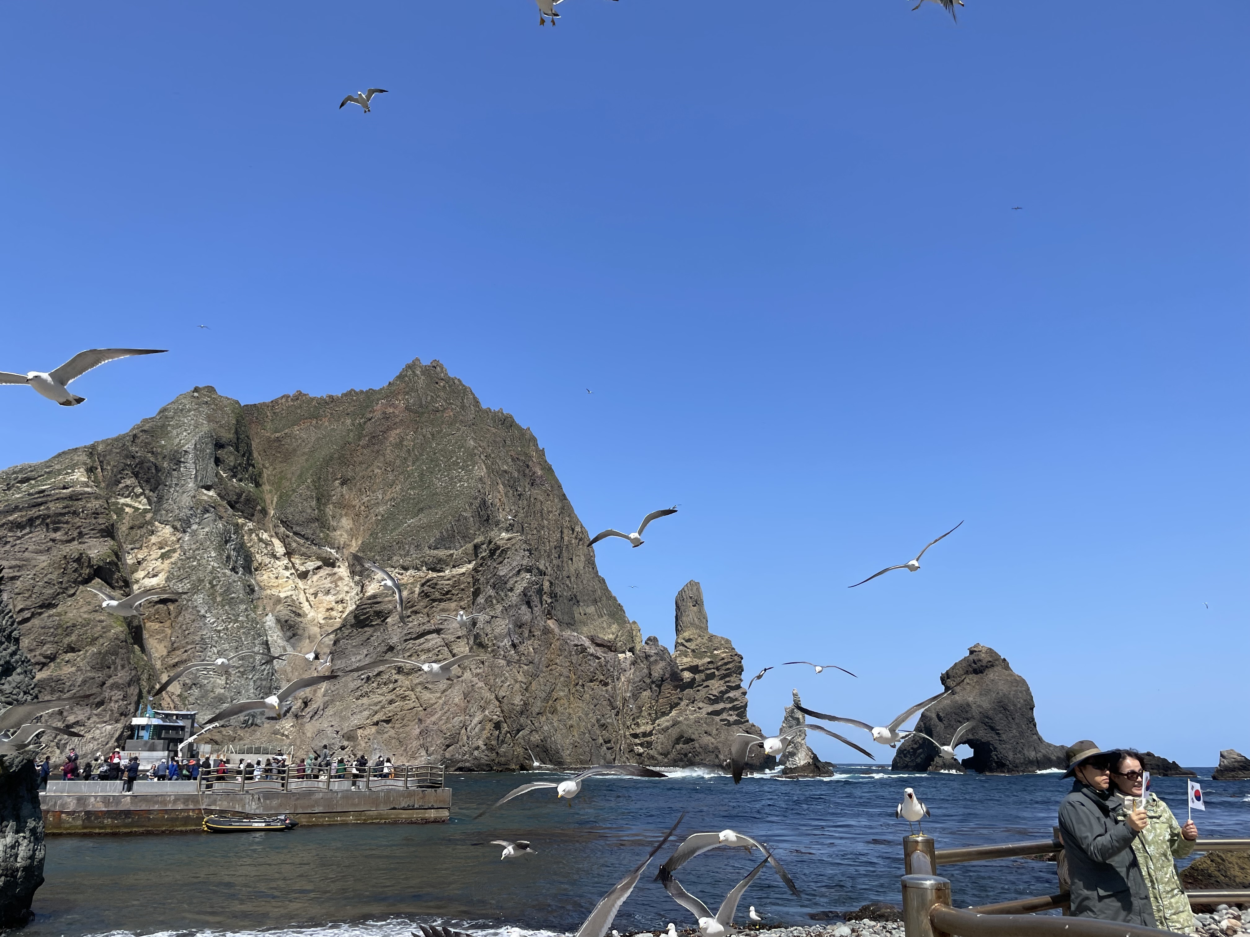 독도포토죤
