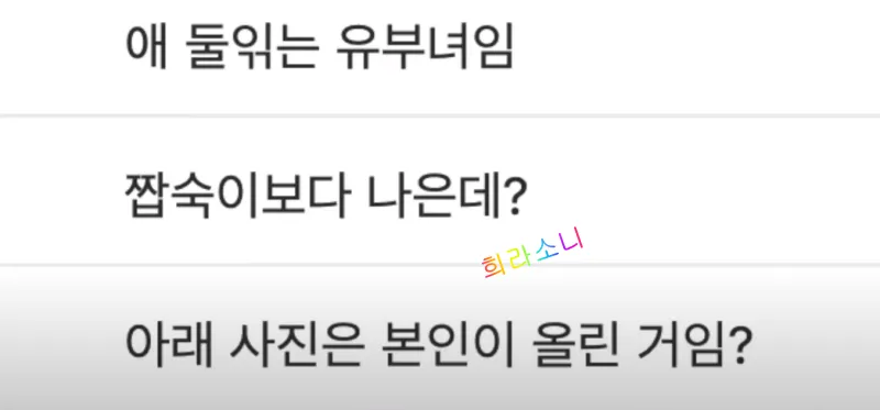 디씨 갤 코멘트. &quot;애 둘 있는 유부녀임.&quot;