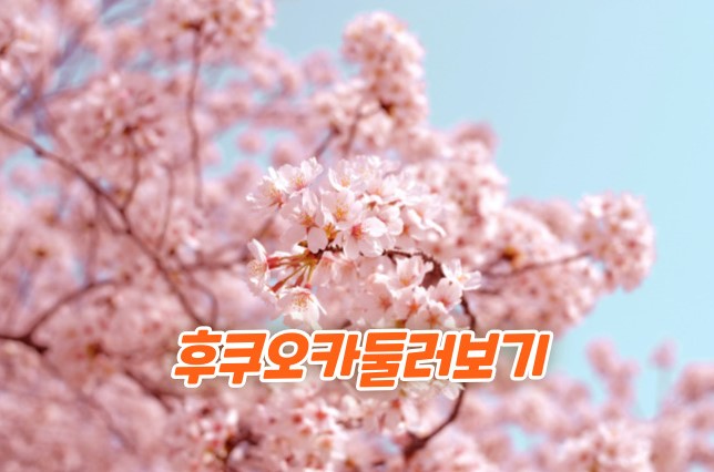 벗꽃 여행 봄