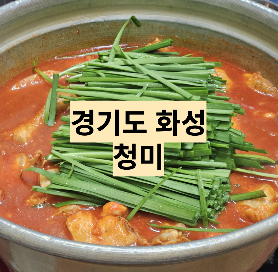  [경기/화성] 병점 청미, 닭도리탕 추천맛집