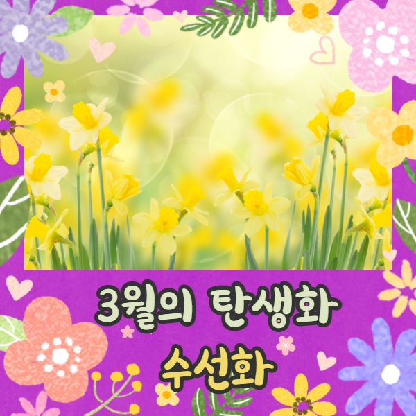  3월의 탄생화 물에 사는 신선 혹은 나르키소스 수선화