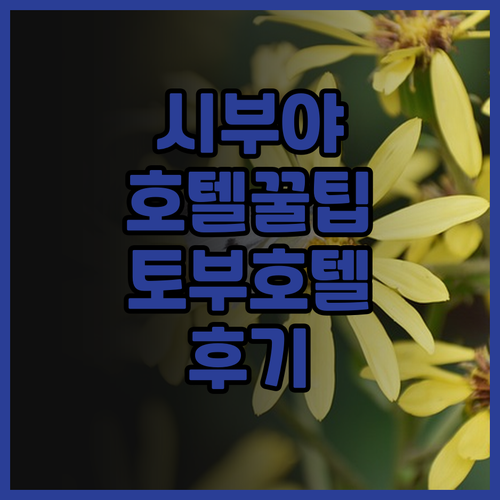 시부야 호텔 추천! 시부야 토부 호텔
