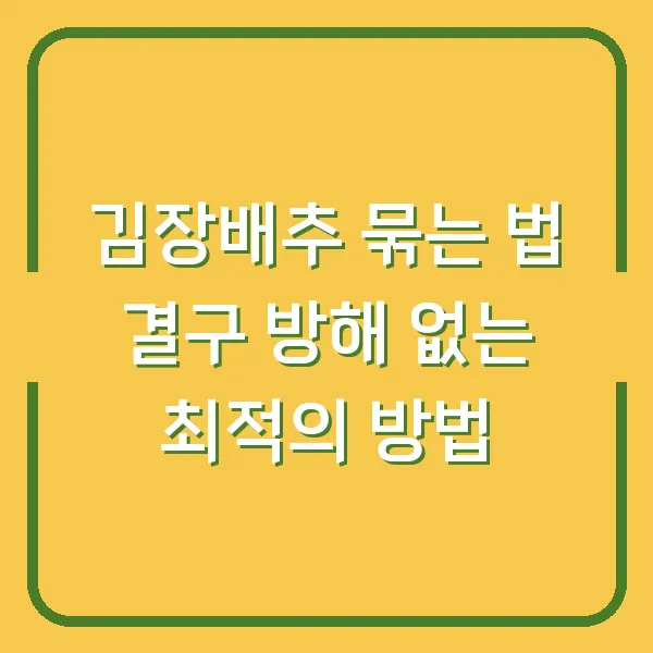 김장배추 묶는 법 결구 방해 없는 최적의 방법