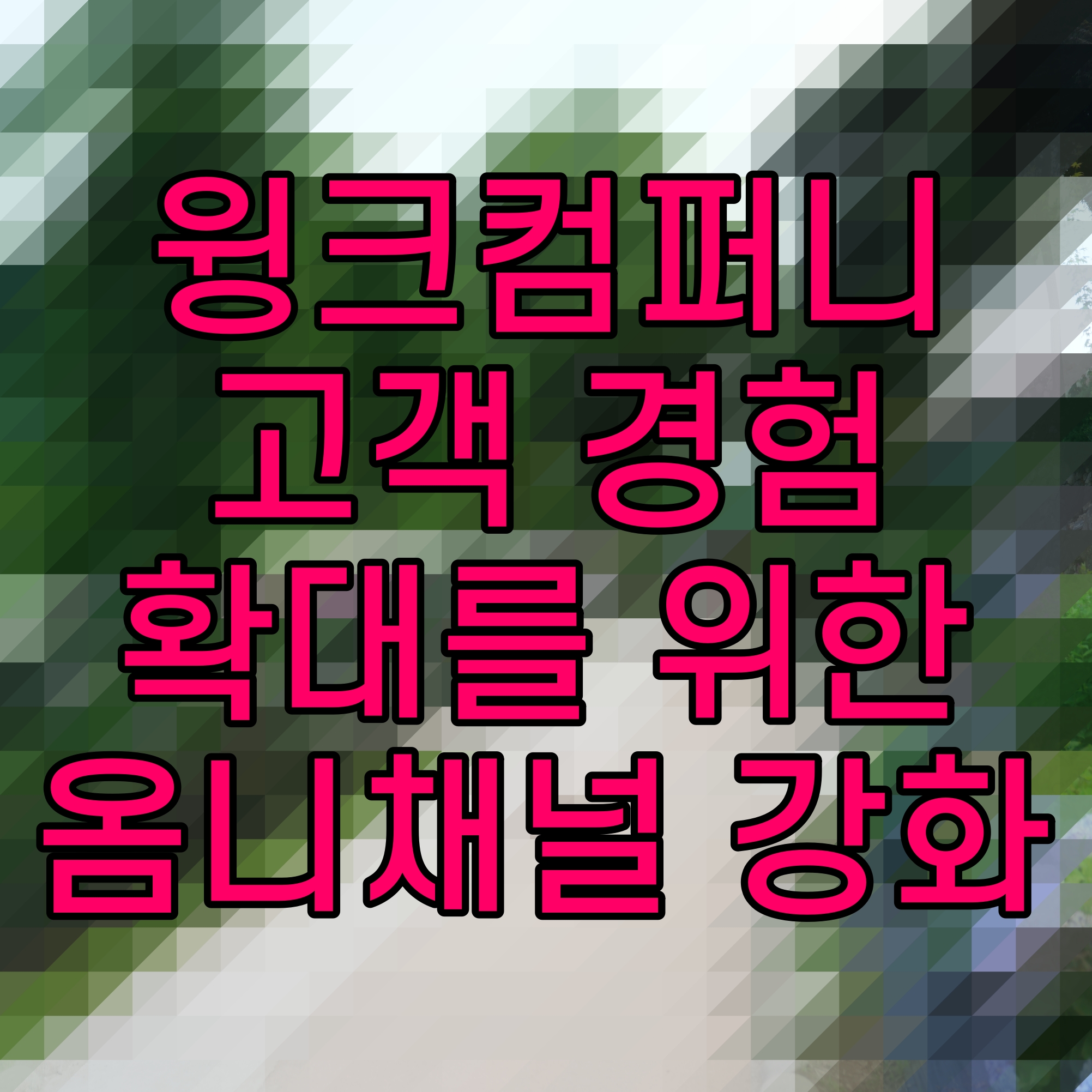  윙크컴퍼니 고객 경험 확대를 위한 옴니채널 강화