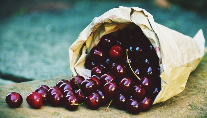 스카이라래 체리를 씻어서 따기 체리는 가방에 들어 있습니다.