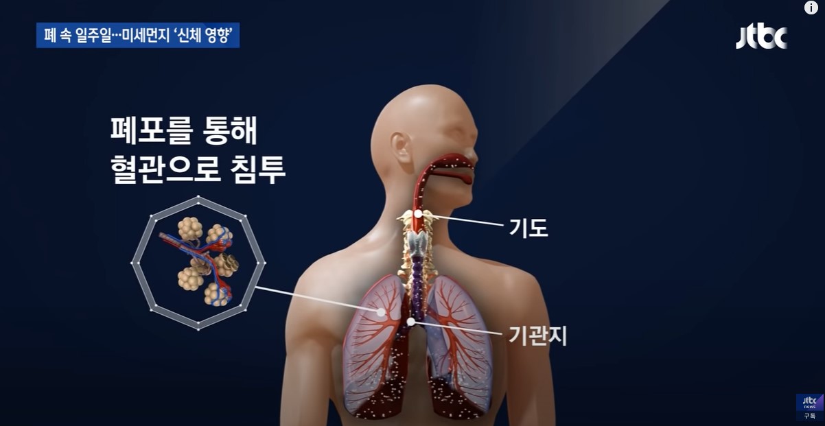 미세먼지 대응 매뉴얼