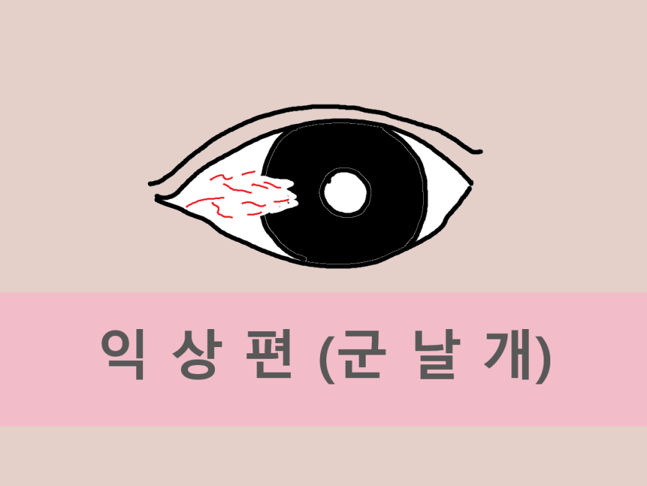 대전성모안과 이미지