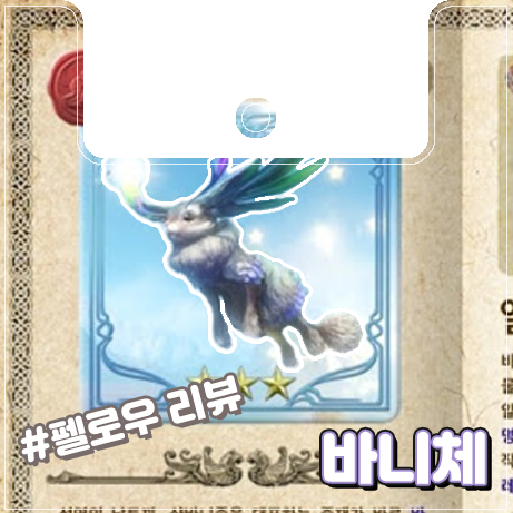  [이카루스] 바니체 리뷰