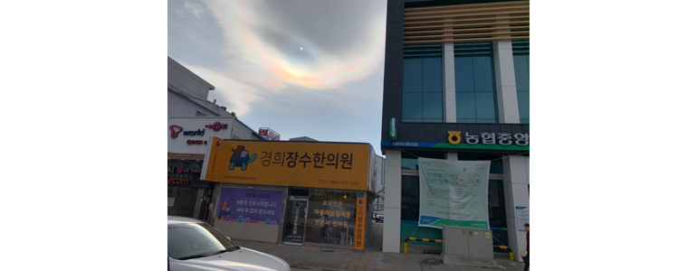 정선군 한의원