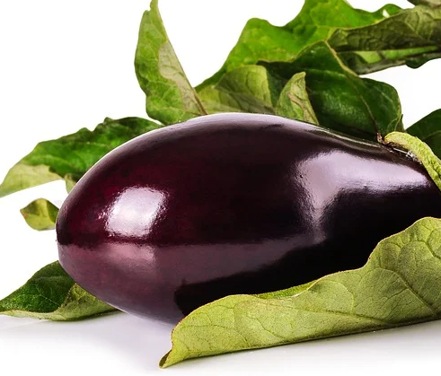  가지 효능과 영양소 주의사항 누구에게 좋은지 알려드려요!
