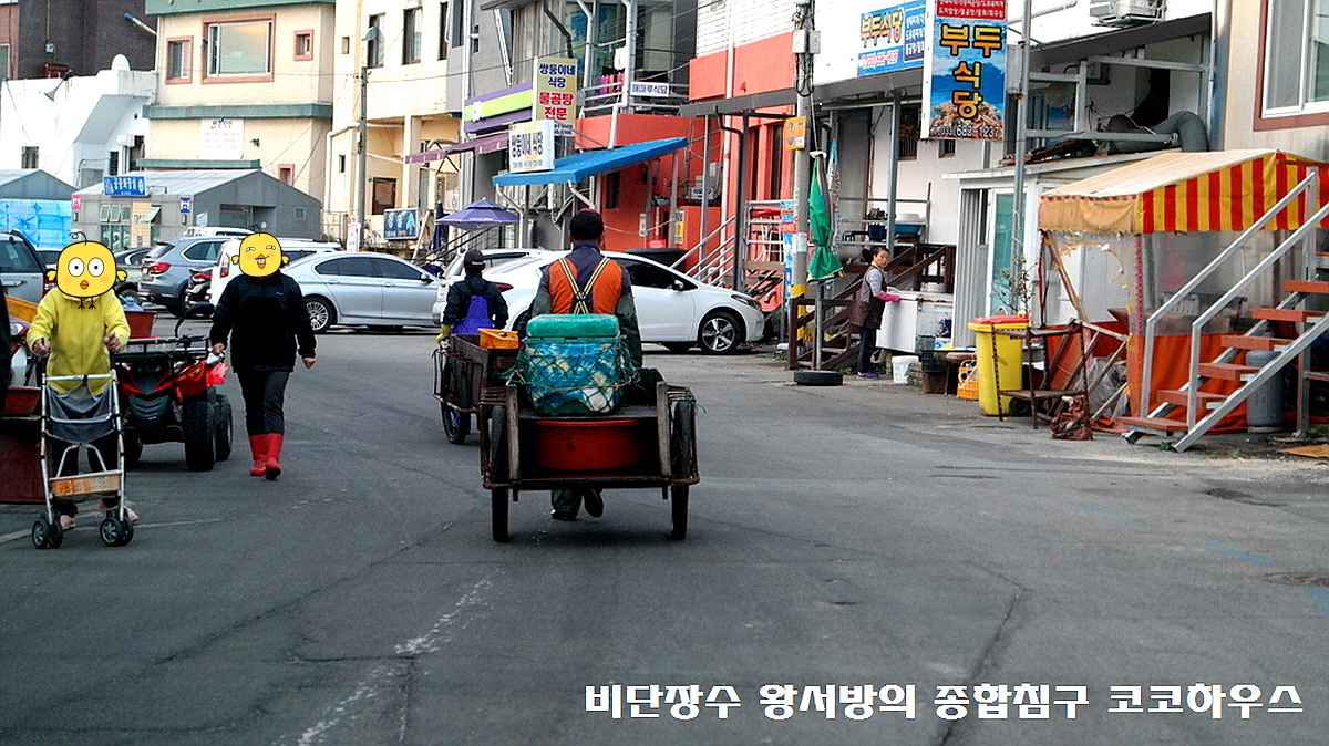 고성 대진항 수산시장 먹거리 맛집! 5