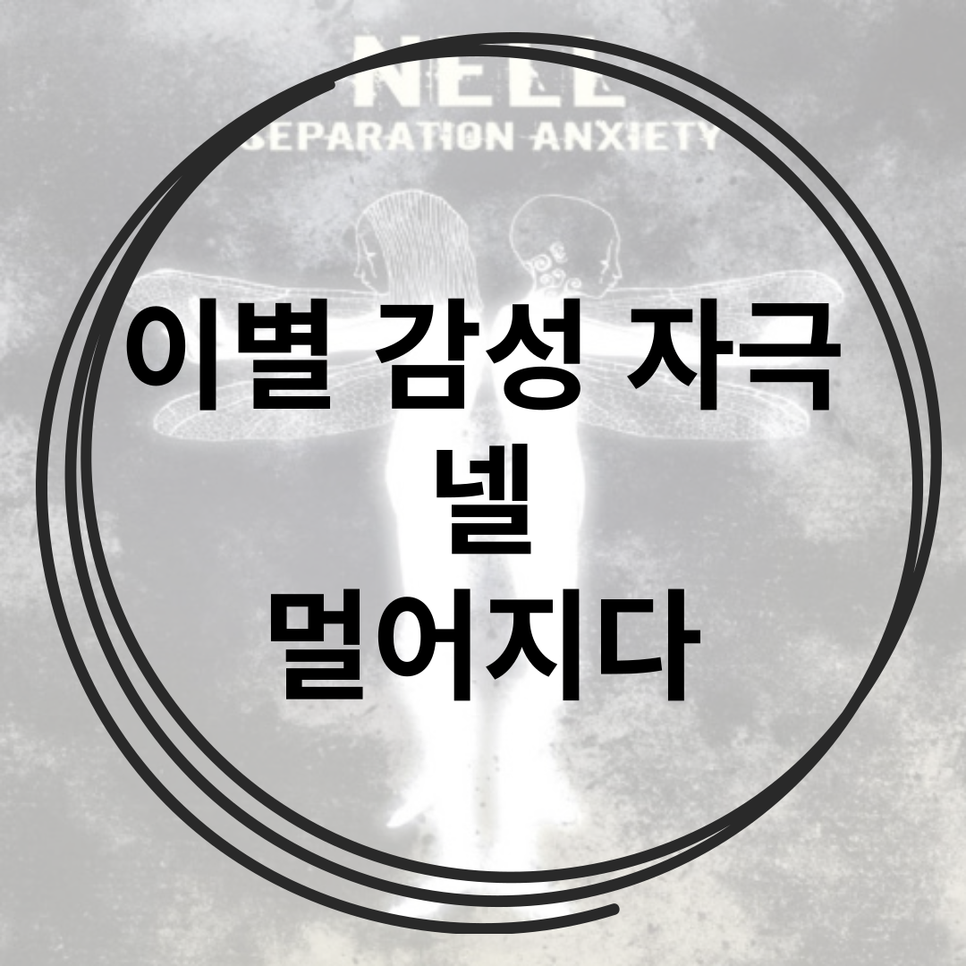  이별 뒤에 들으면 안되는 가슴 아픈 노래 넬 멀어지다