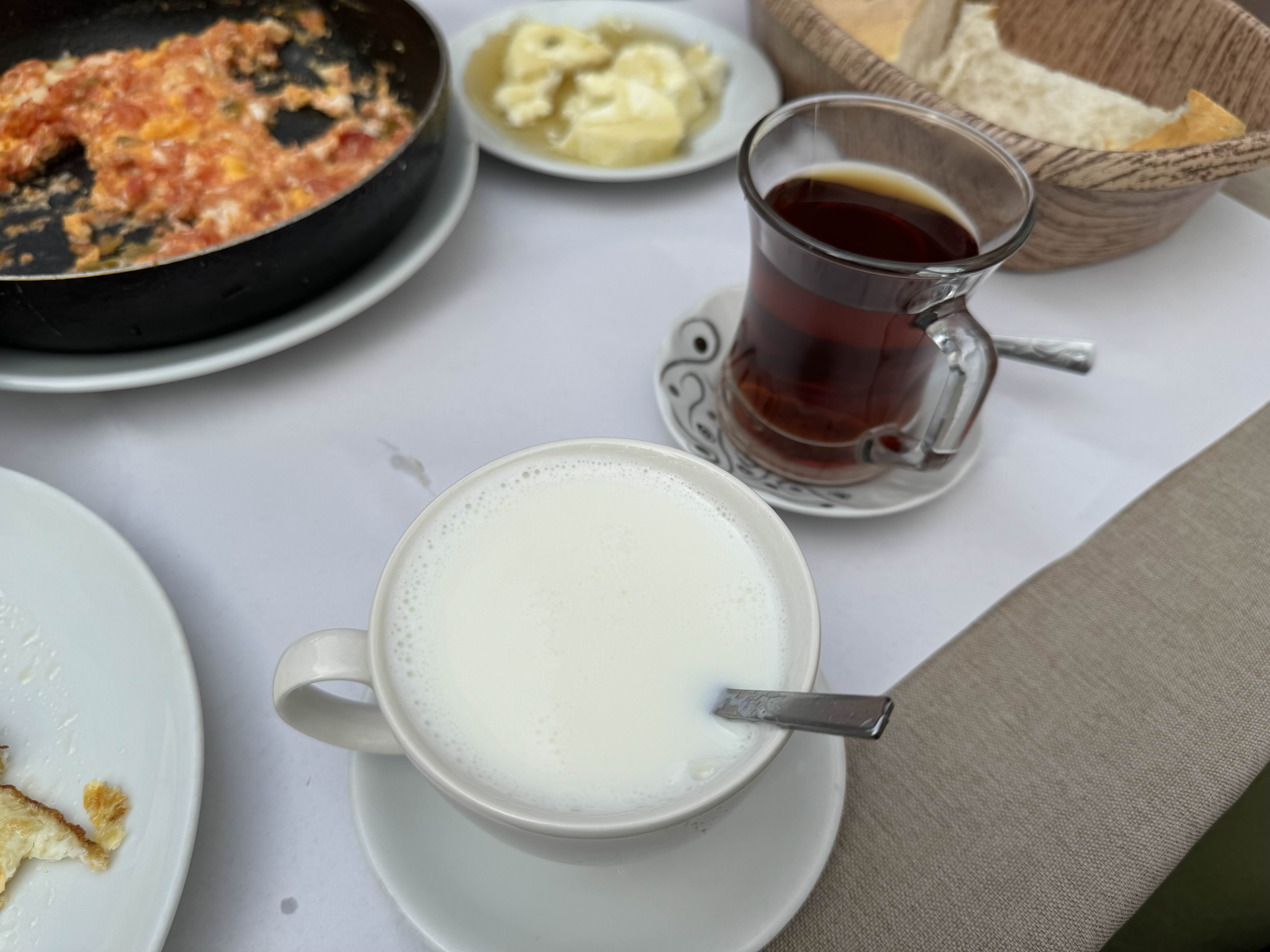 튀르키예 우유