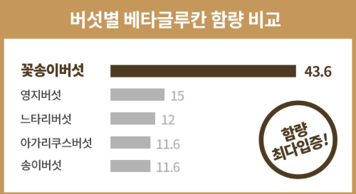 버섯별 베타-글루칸 함량 비교 이미지