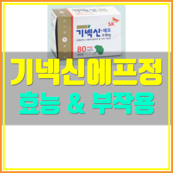  기넥신 에프정 80mg 부작용 효능 정보
