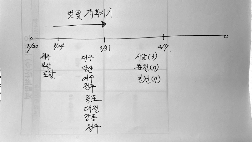 벚꽃 시기 정리