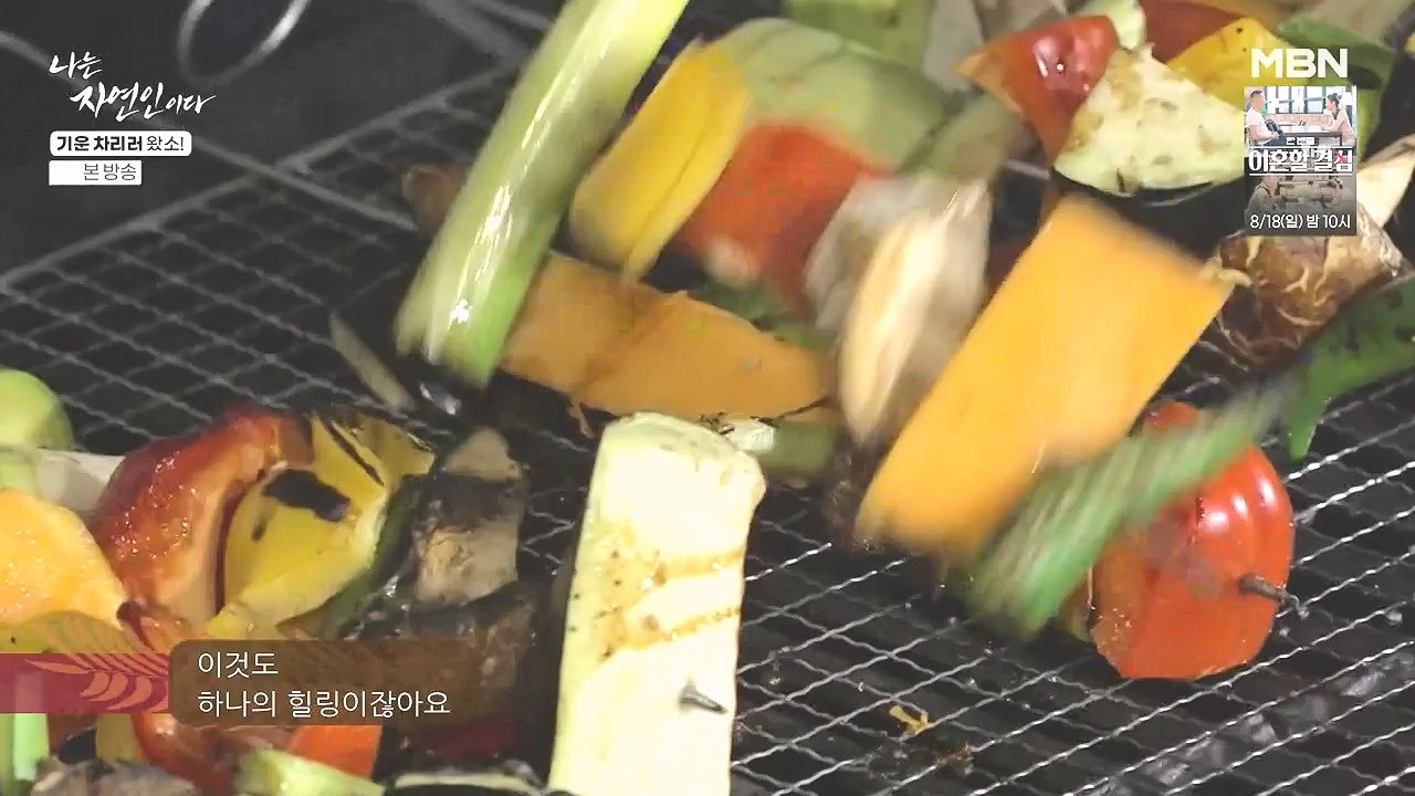 나는 자연인이다.E617.240808p-NEXT.mp4_20240808_195052.003.jpg