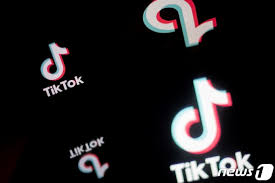 TikTok이 몬타나에서 금지된 이유는 무엇입니까? 43