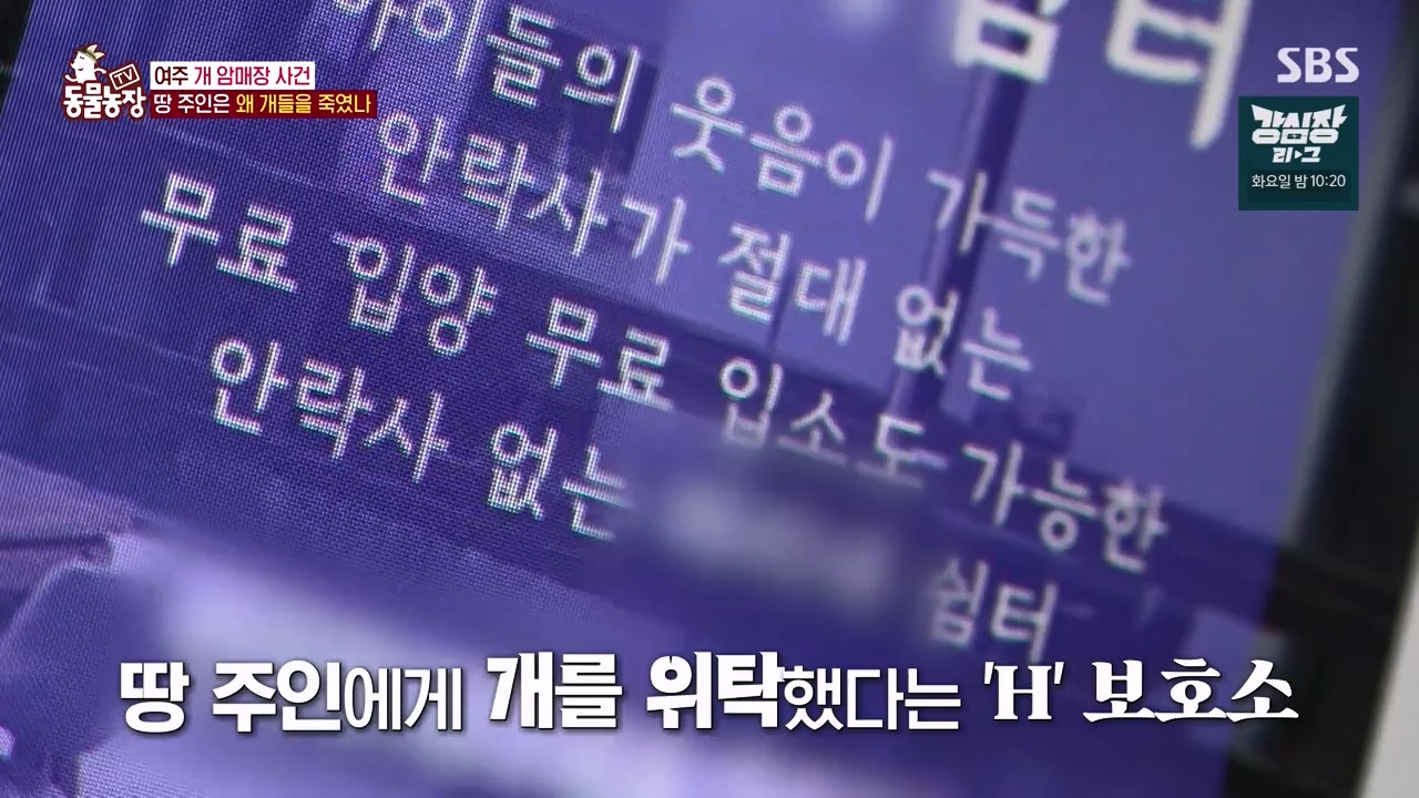 TV 동물농장.E1122.230529p-NEXT.mp4_20230528_170302.015.jpg